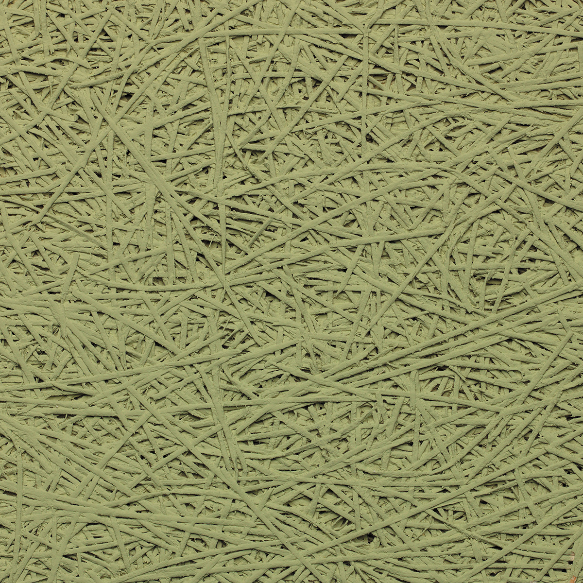 Organic - coloris Tilleul.jpg